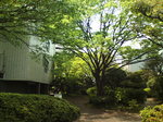 F1020017.jpg